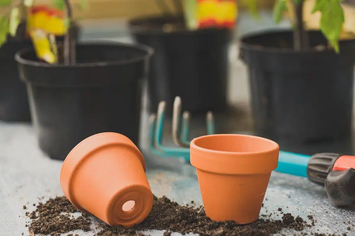 compost  réutilisable