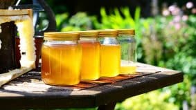 Les bienfaits de la gelée Royale