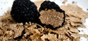 Quelle est la différence entre les truffes noires et les truffes blanches ?