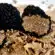 Quelle est la différence entre les truffes noires et les truffes blanches ?